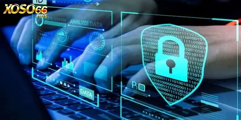 Dữ liệu của bạn sử dụng để xác minh danh tính